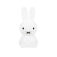 Miffy First Light New - Mr. Maria